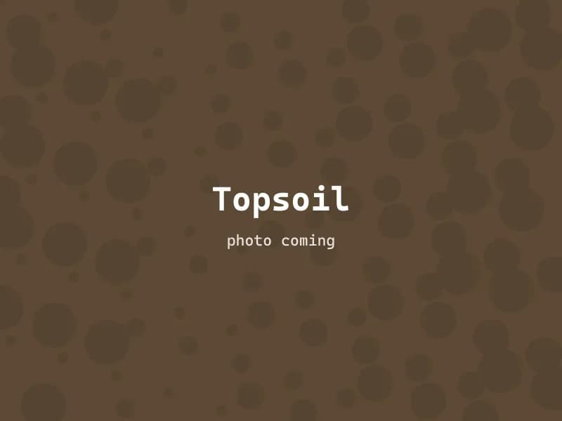 Screened topsoil